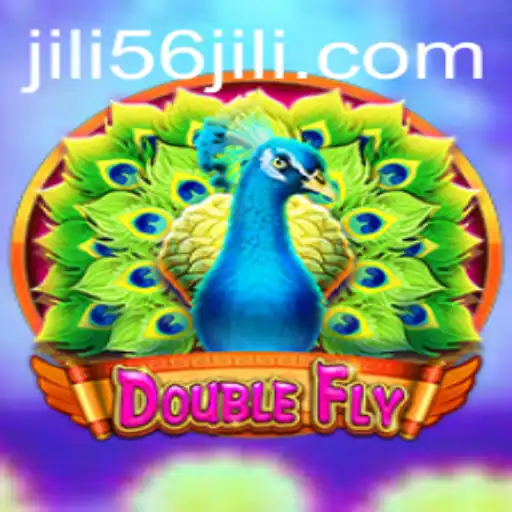 Exploring the Thrilling Universe of DoubleFly